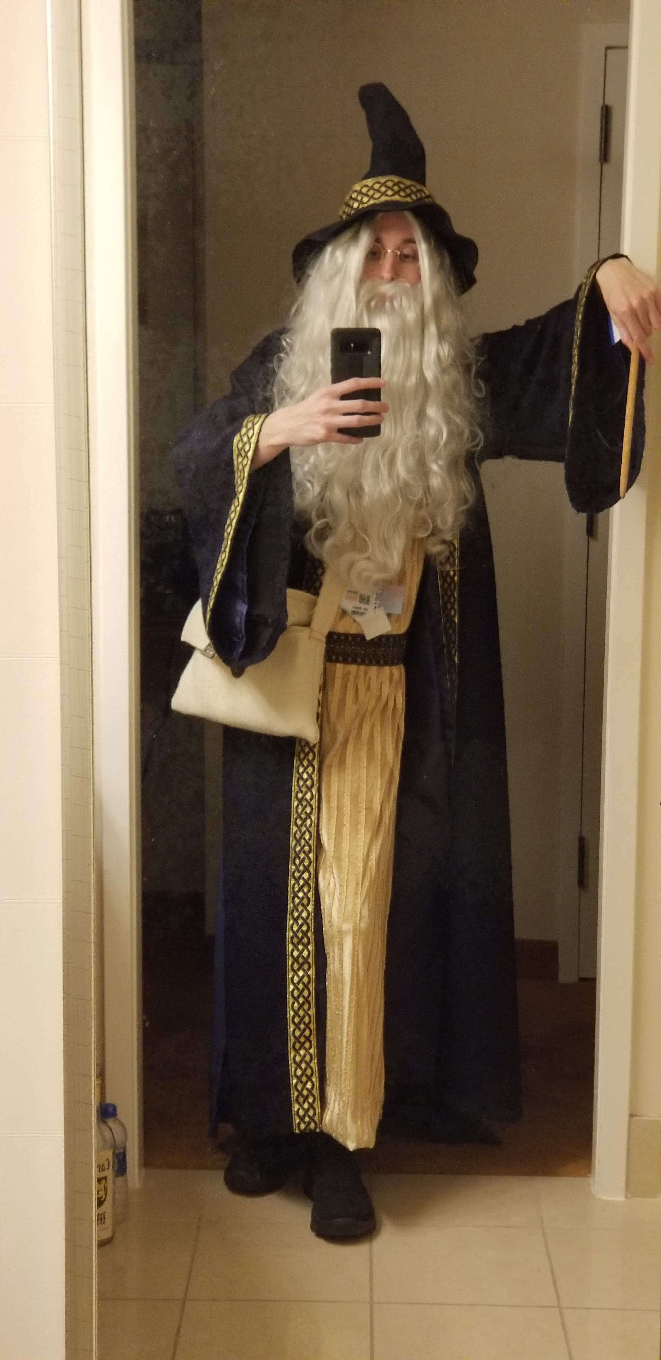 Wizard Party World Record Costume