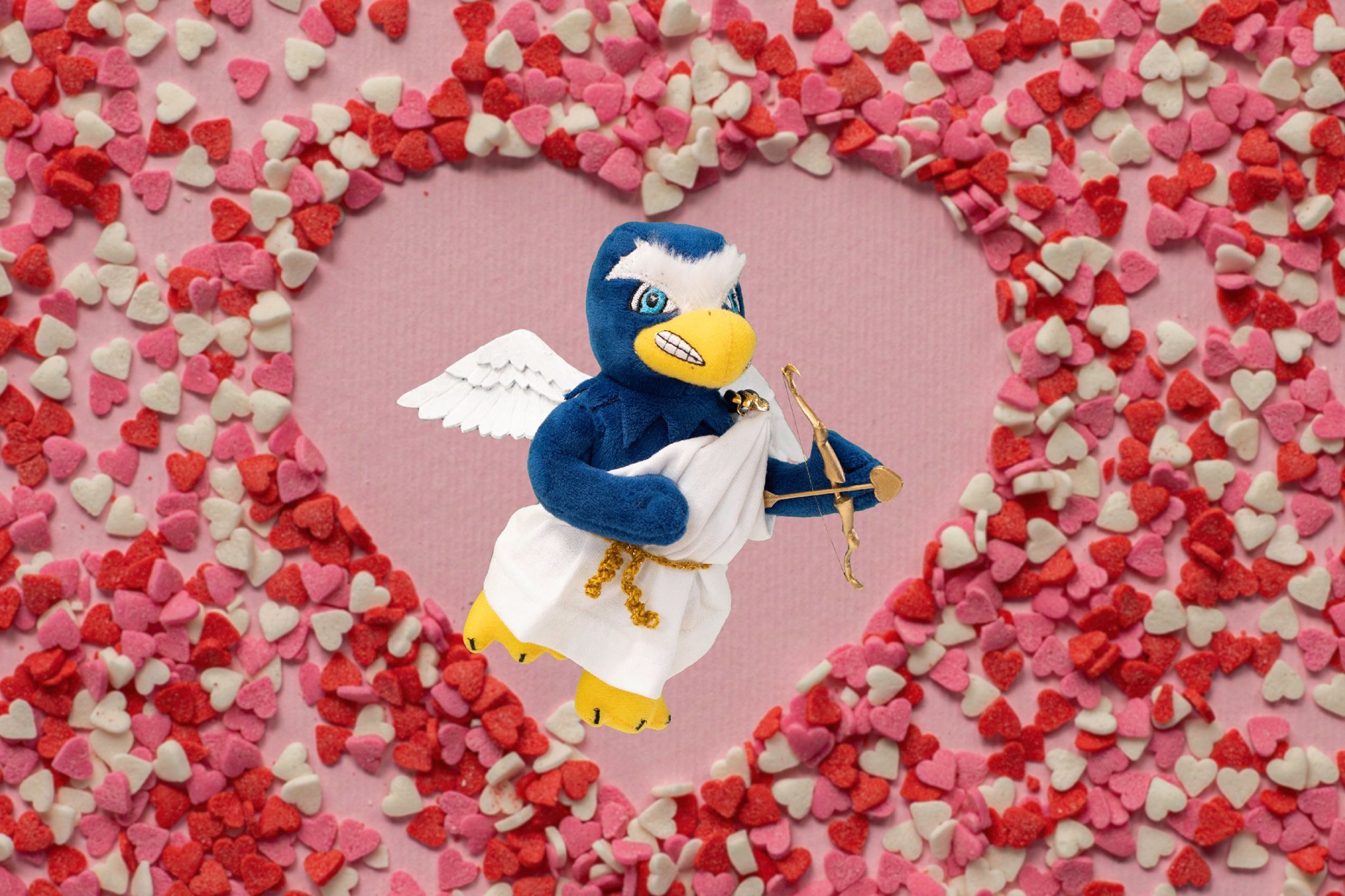 Valentines Falco.jpeg