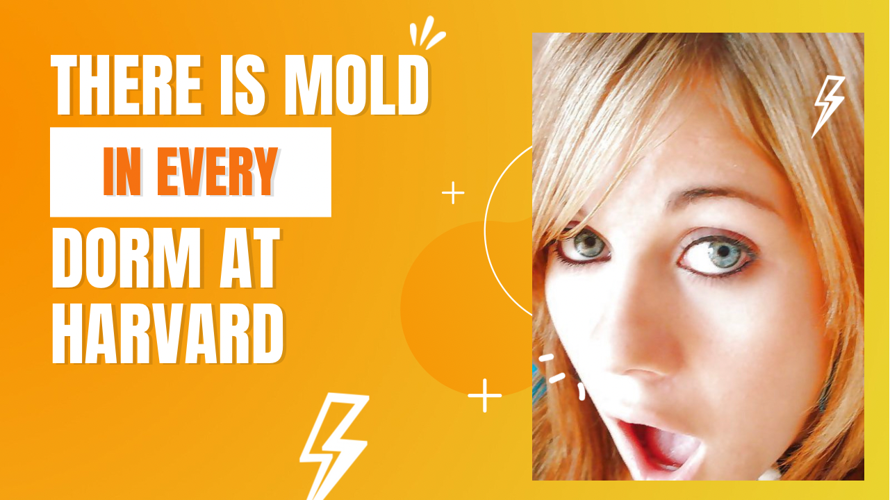 EXCLUSIVE: The Mold Issues at Harvard University and Howard University