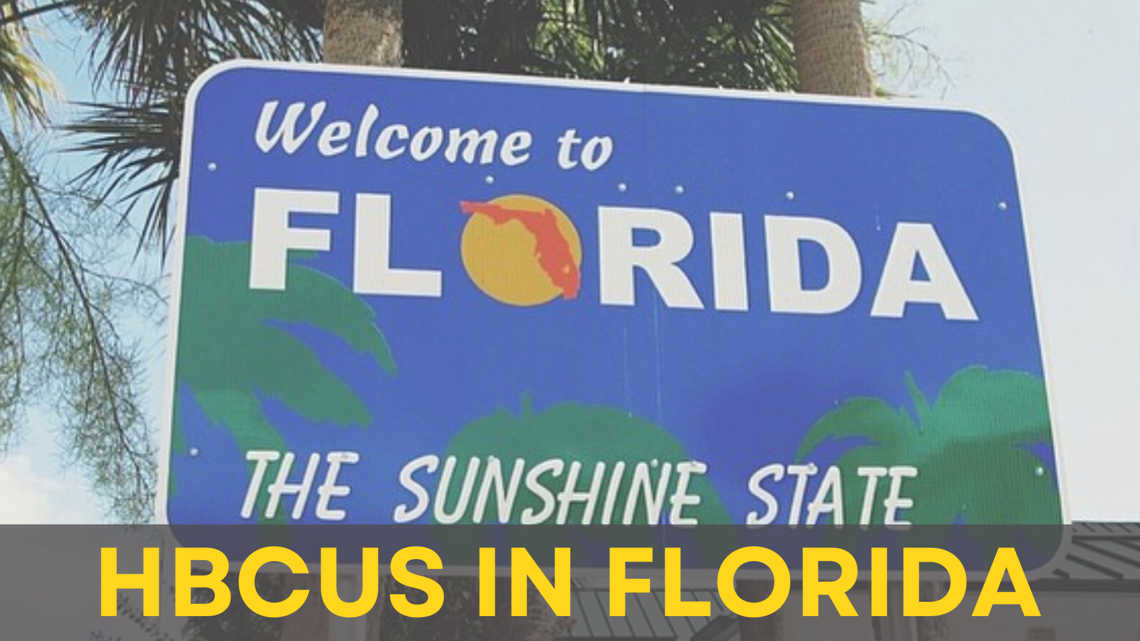 Full List Of HBCUS In Florida