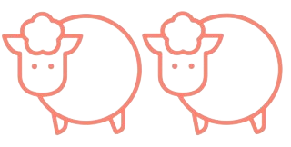 Twin Sheep Dentistry