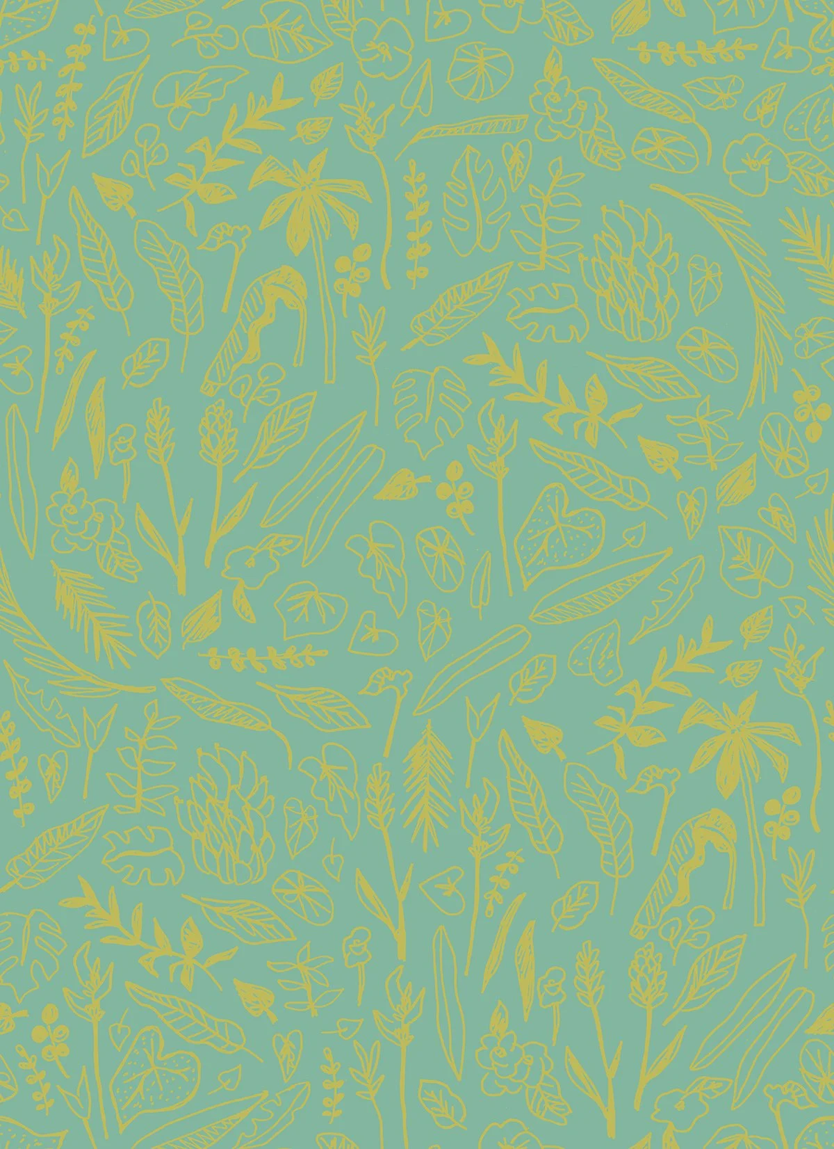 Botanical-line-drawing.jpg
