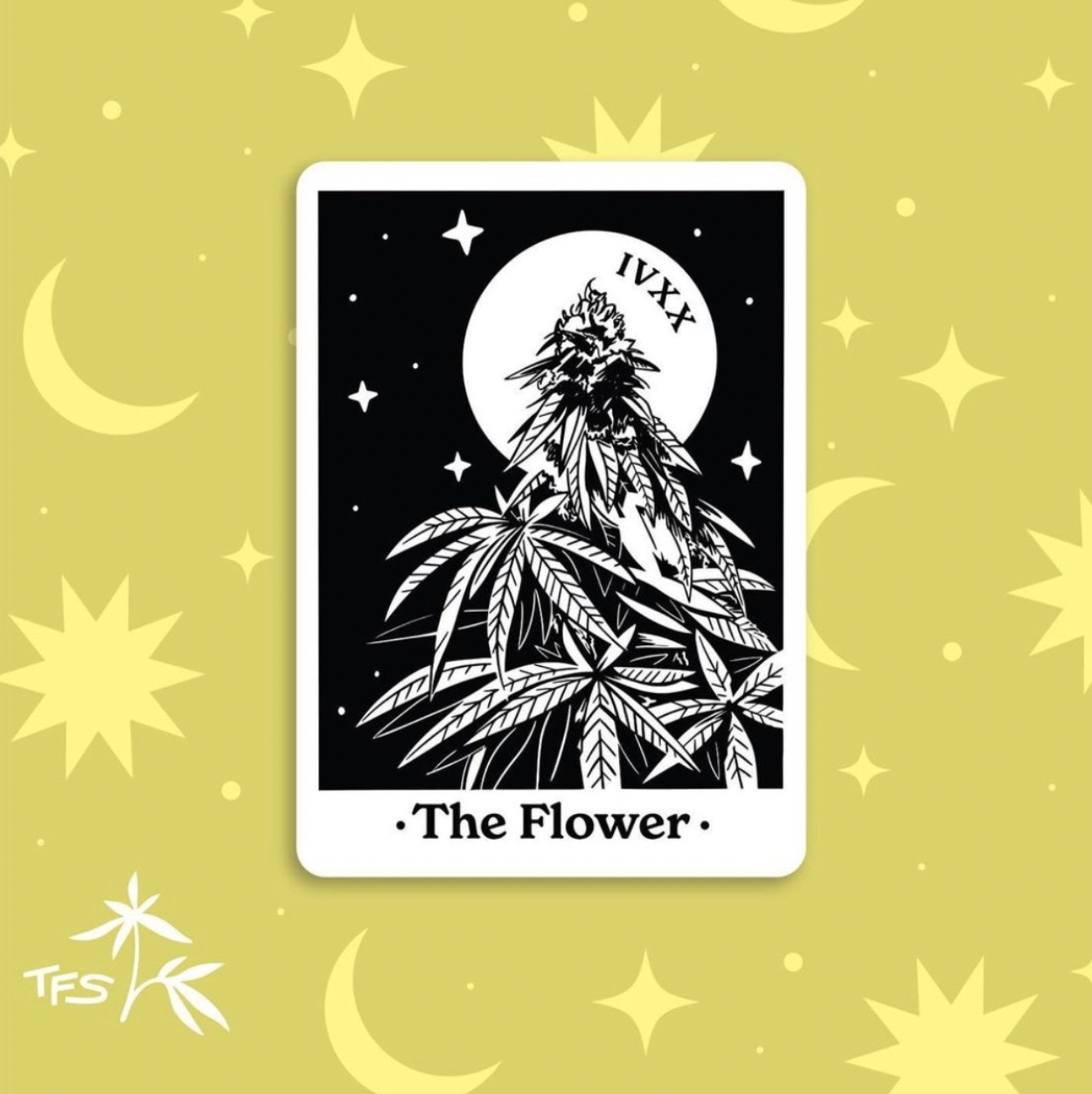 The Flower Shop, 2021