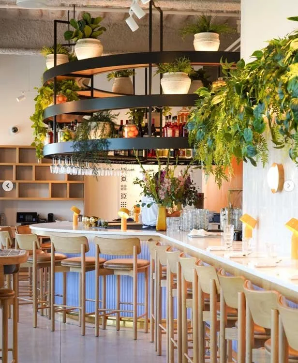 douro_bar.jpg