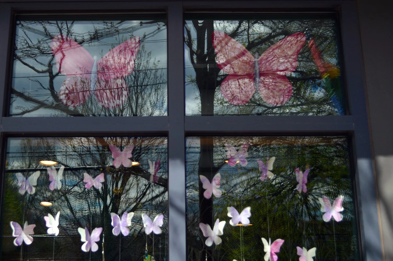 Top-Windows-Window-Display.jpg
