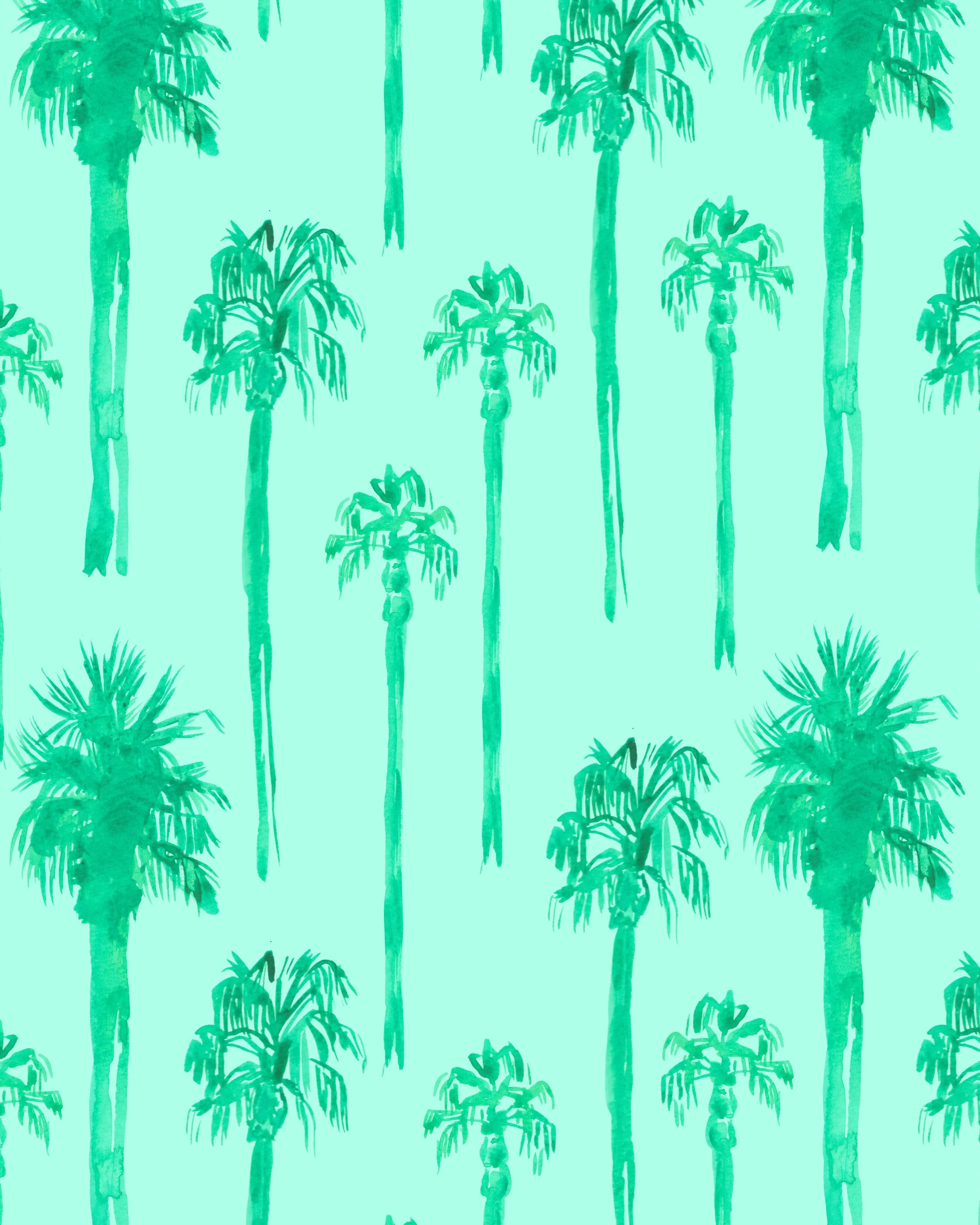 24051_Palm-Coast_Portfolio.jpg
