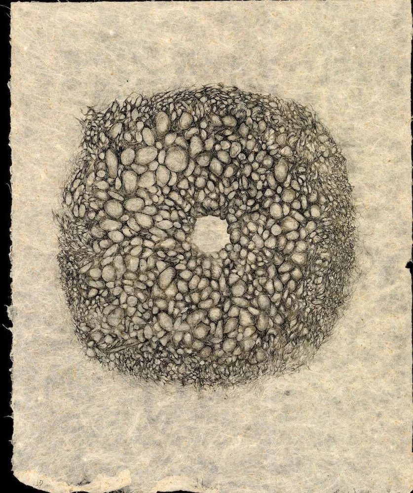 Stones , Rachel Singel