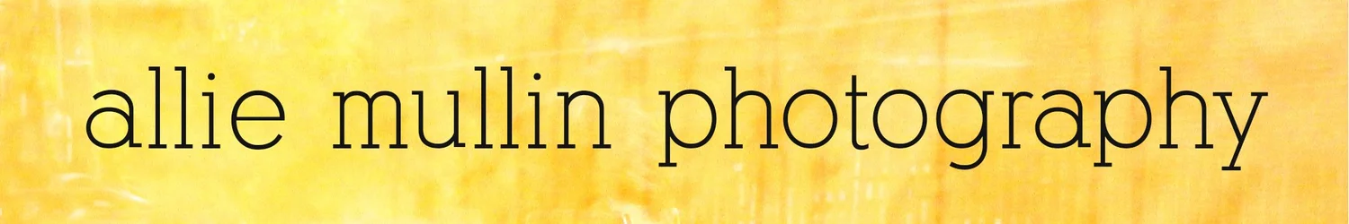 Allie Mullin Photography | BRANDS + PORTRAITS + ELOPEMENTS + ART PRINTS