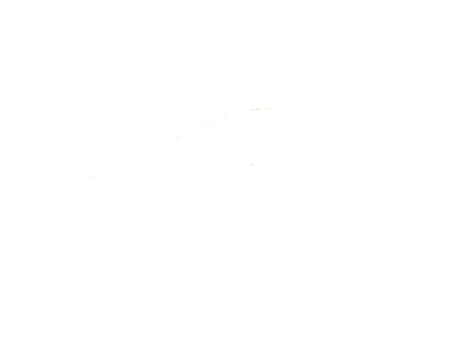 Sweet Paws Rescue