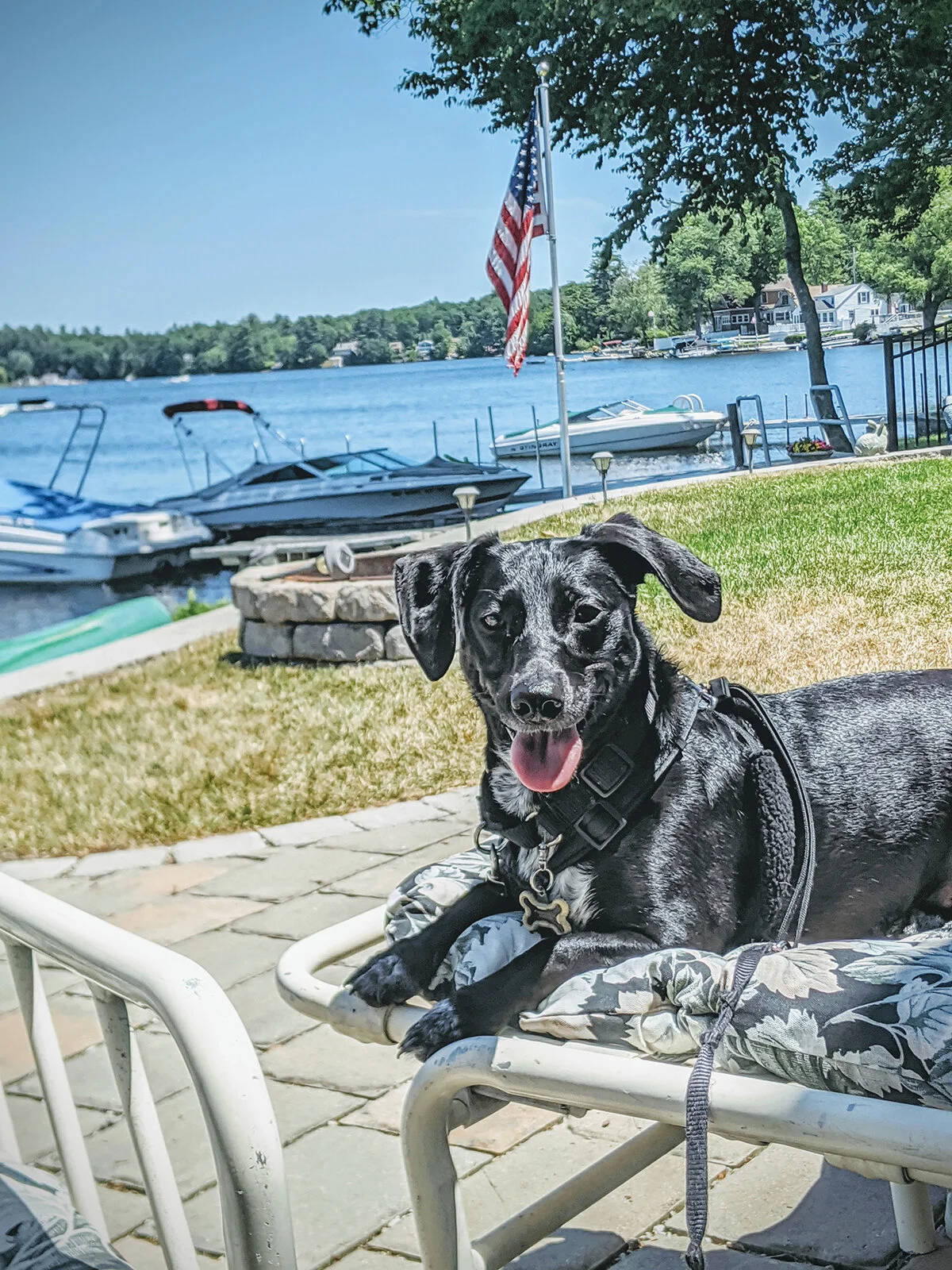 Tessie
