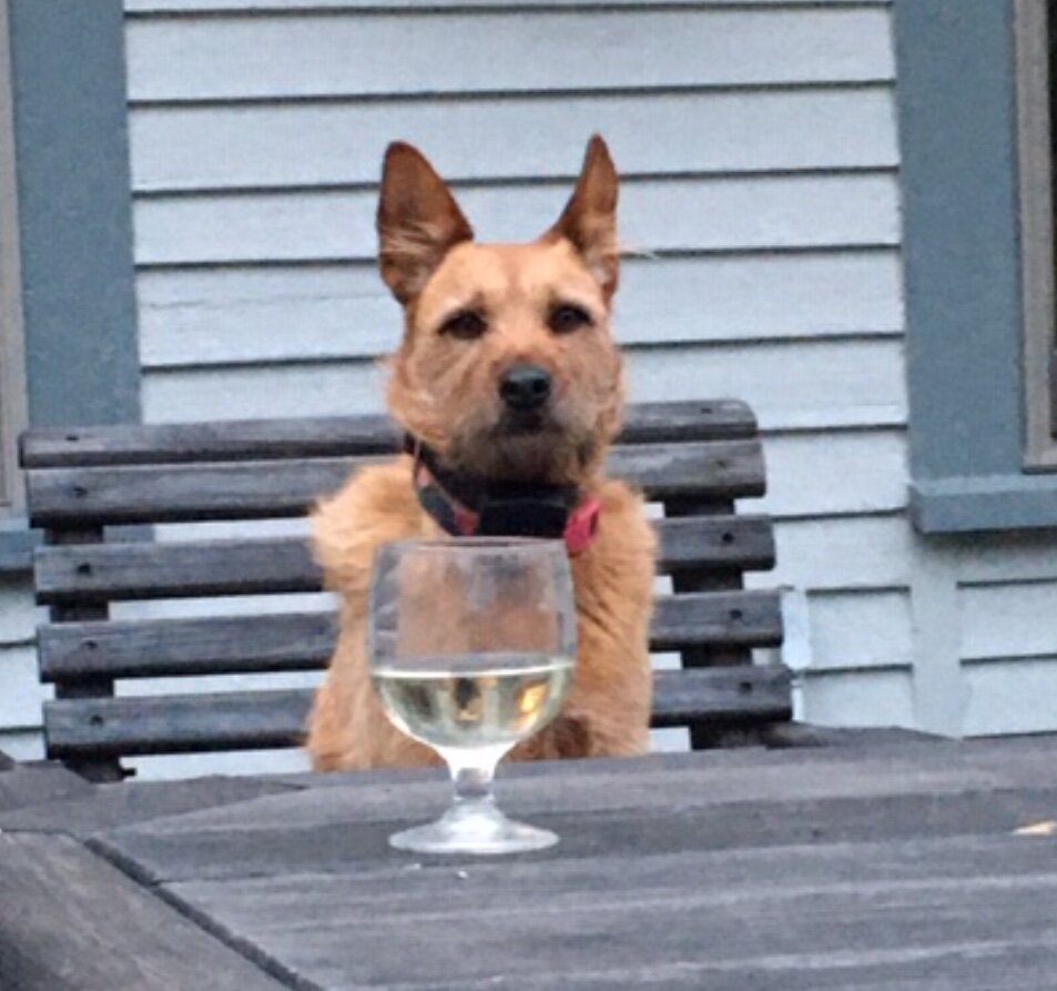 Rosie