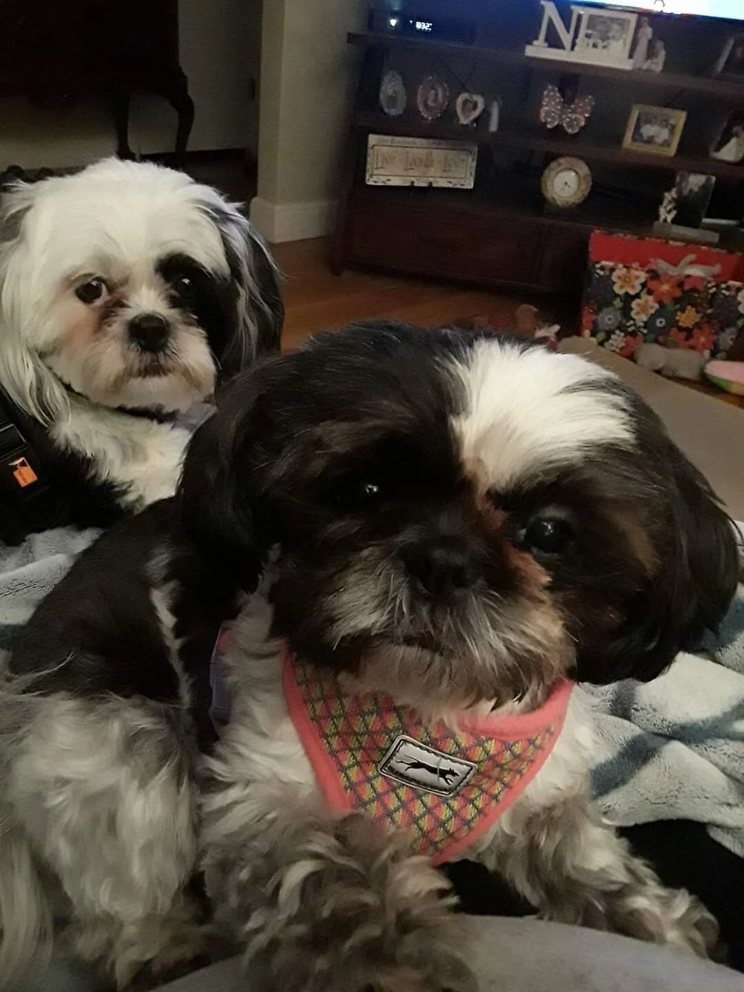 Rosie and Brady