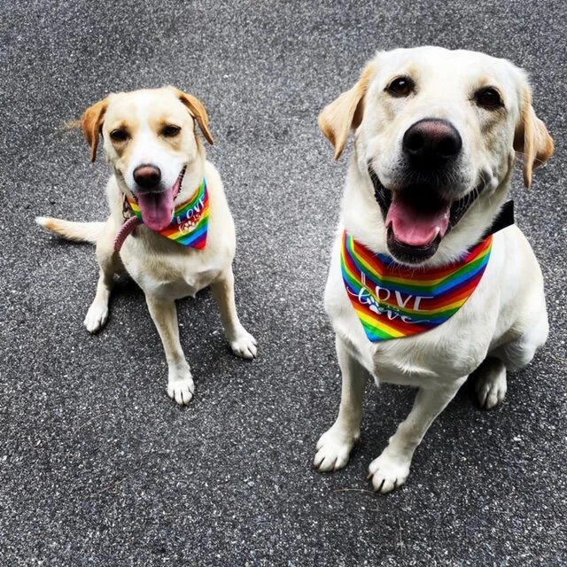 Nala and Loki