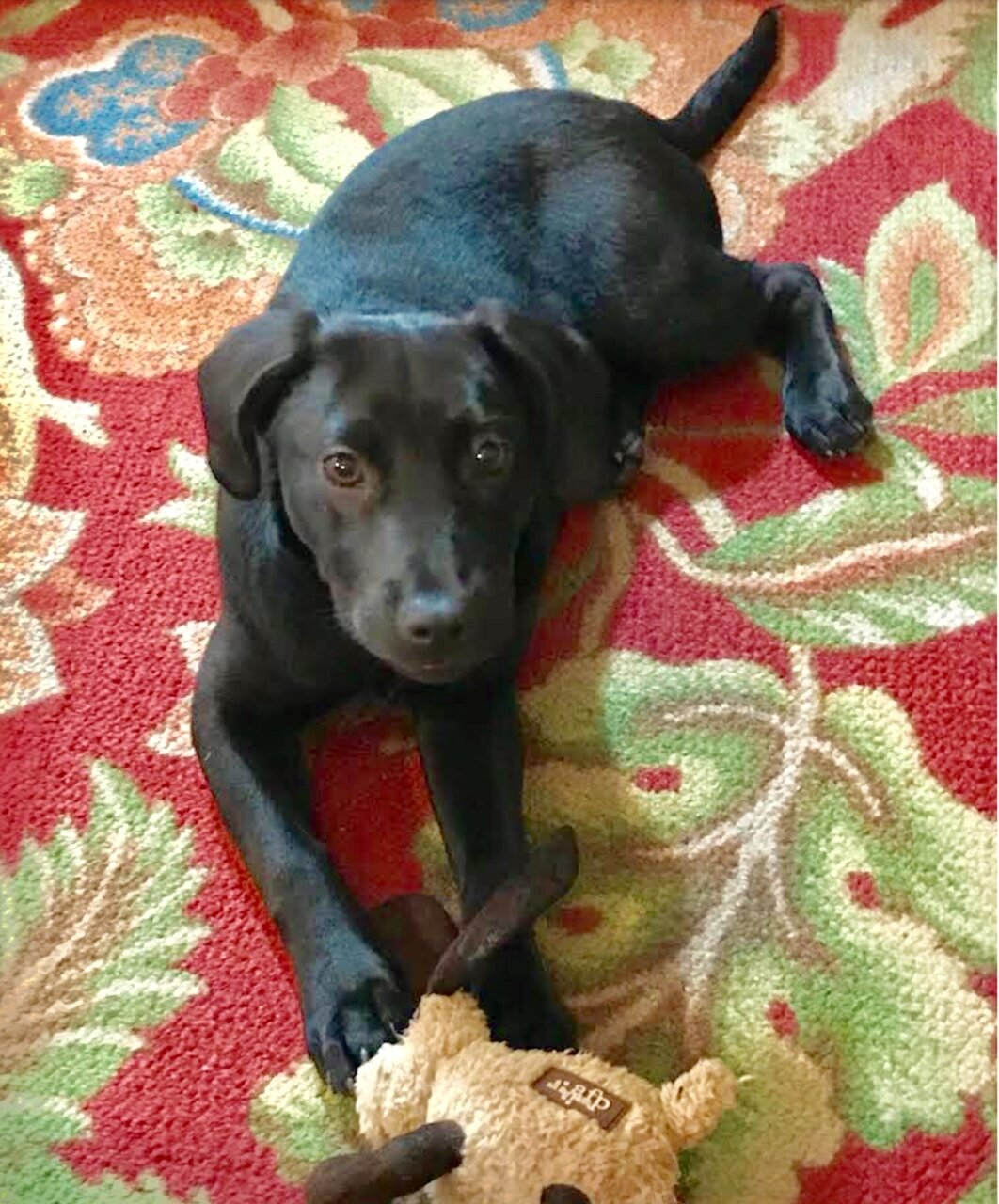 Luna