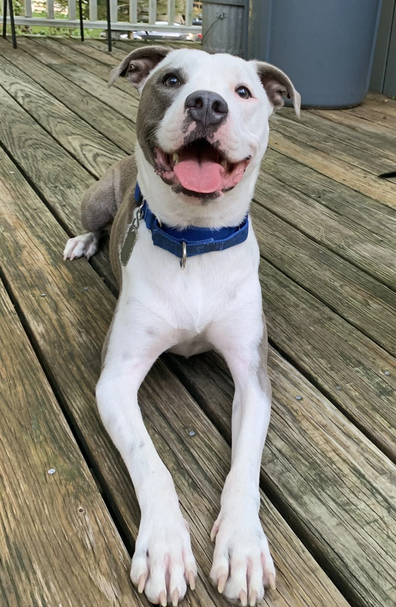 Archie
