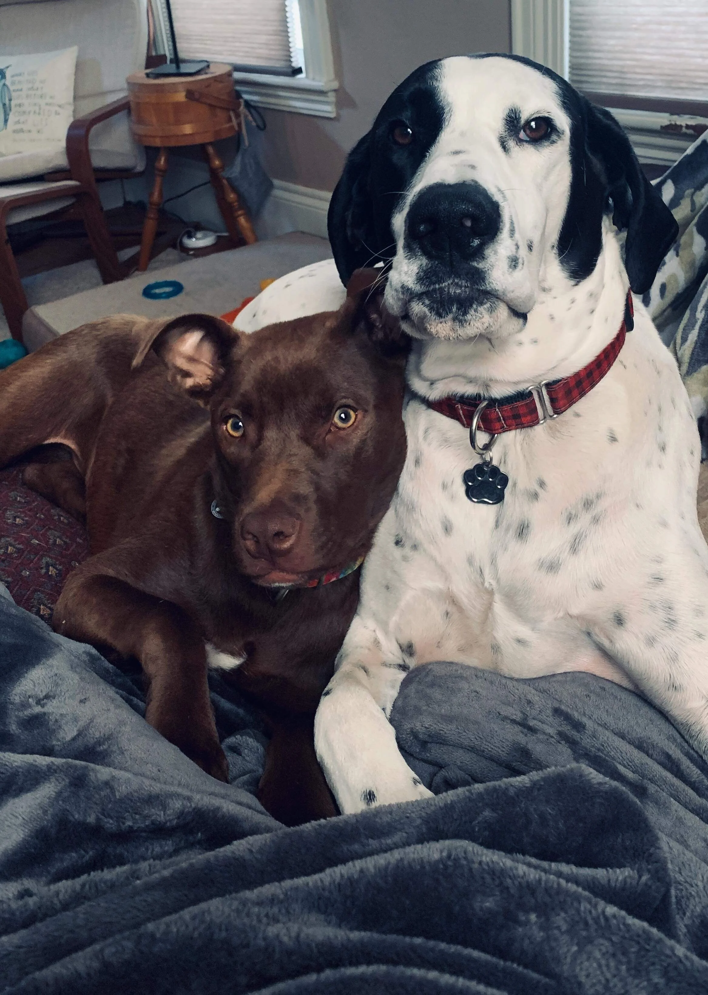 Bee and Chip