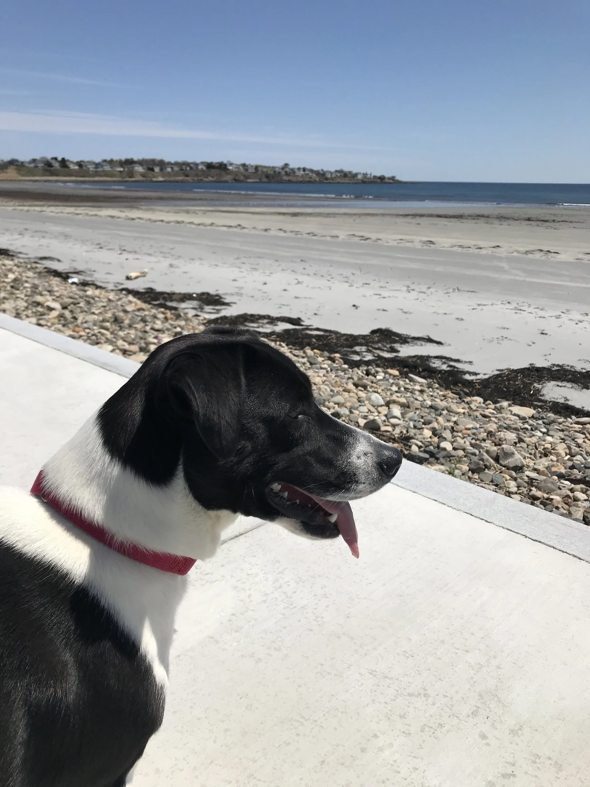 Maybelle