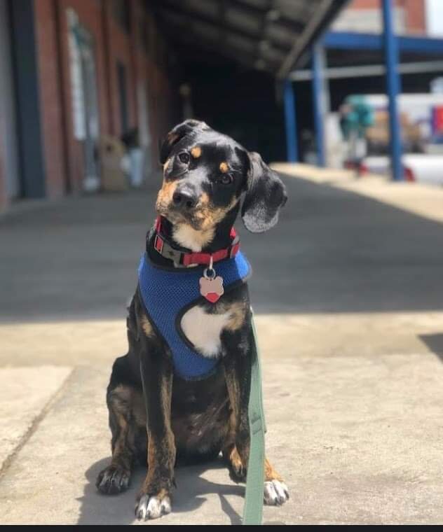 Ernie