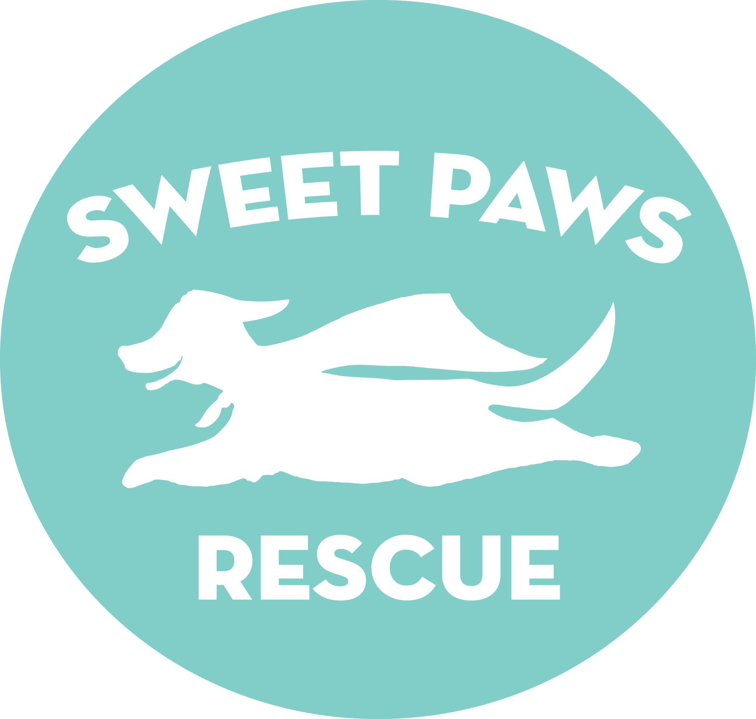 Gulf Coast Tiny Paws Rescue - a cat and dog rescue organization