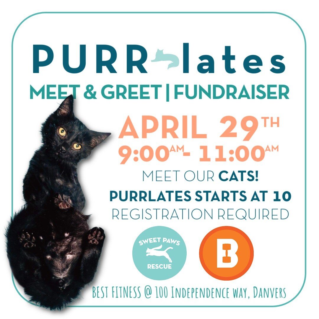 𝐁 𝐔 𝐒 𝐘 week of events coming up!! 

🏃&zwj;♀️SATURDAY - PURRLates Meet &amp; Greet Fundraiser! Call #BestFitnessDanvers to reserve your spot for Pilates with kittens or stop by and check out our table in the morning!

🌷SUNDAY - Posies &amp; Pup
