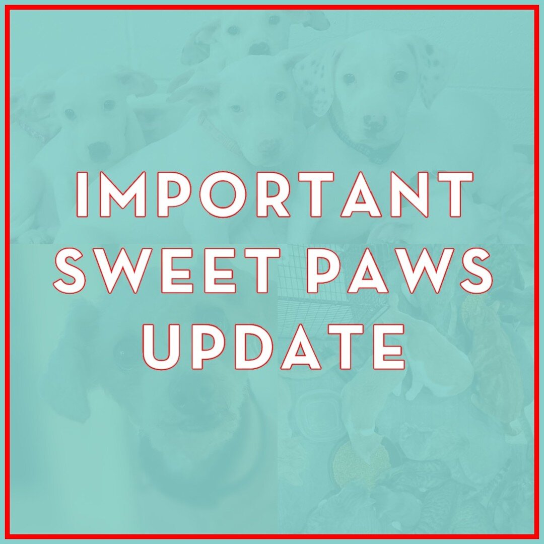 Cat Adoption Info — Sweet Paws Rescue
