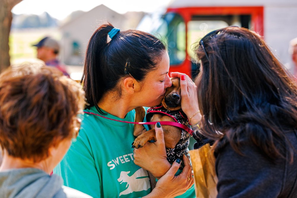 Event Details 2023 Barktoberfest — Sweet Paws Rescue