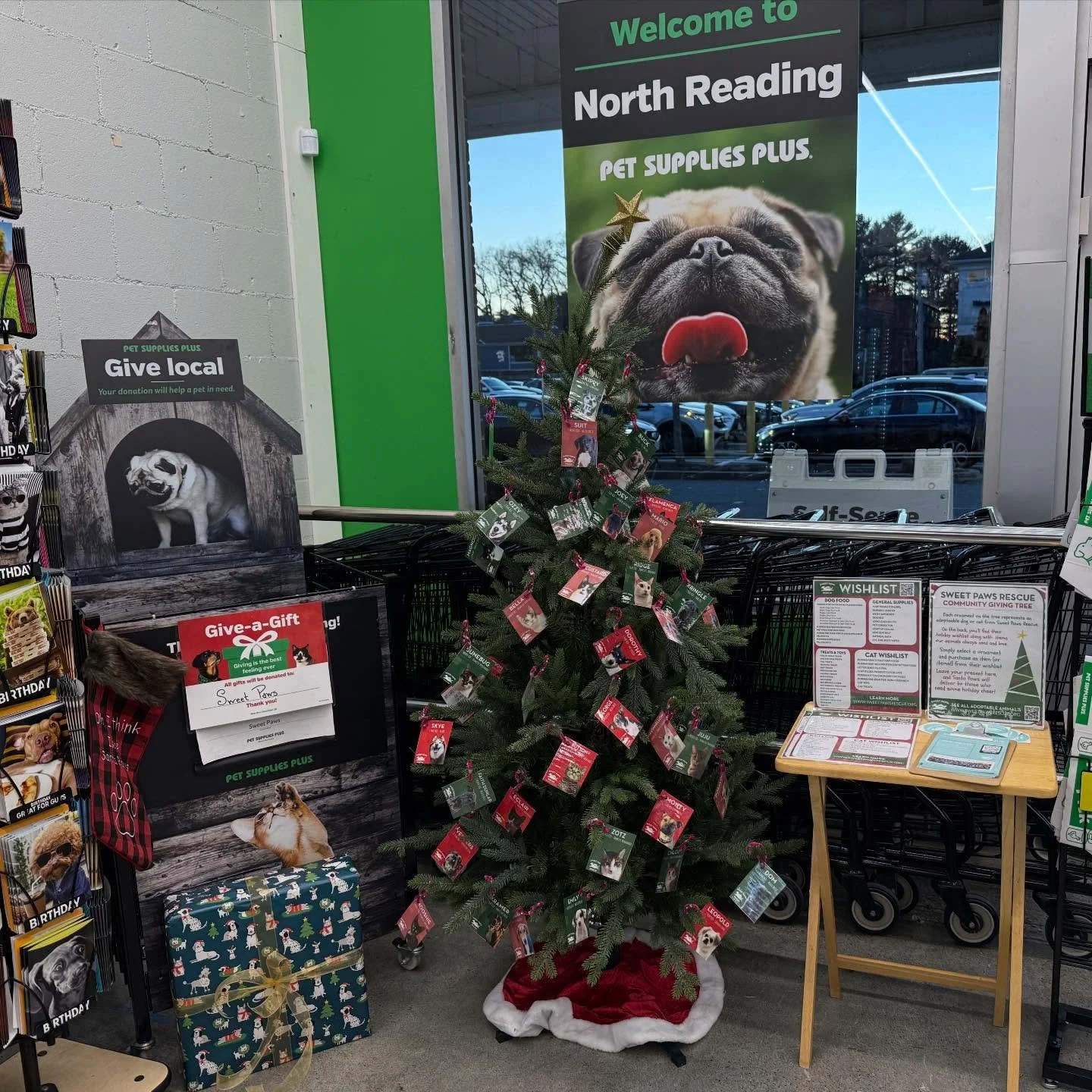 𝐆𝐈𝐕𝐈𝐍𝐆 𝐓𝐑𝐄𝐄 𝐒𝐄𝐀𝐒𝐎𝐍 𝐈𝐒 𝐇𝐄𝐑𝐄! 🎄✨ Our Giving Trees are up and filled with wishlists from our adoptable dogs and cats! We&rsquo;ve partnered with some amazing local pet stores to help make their holidays a little brighter. Just gra
