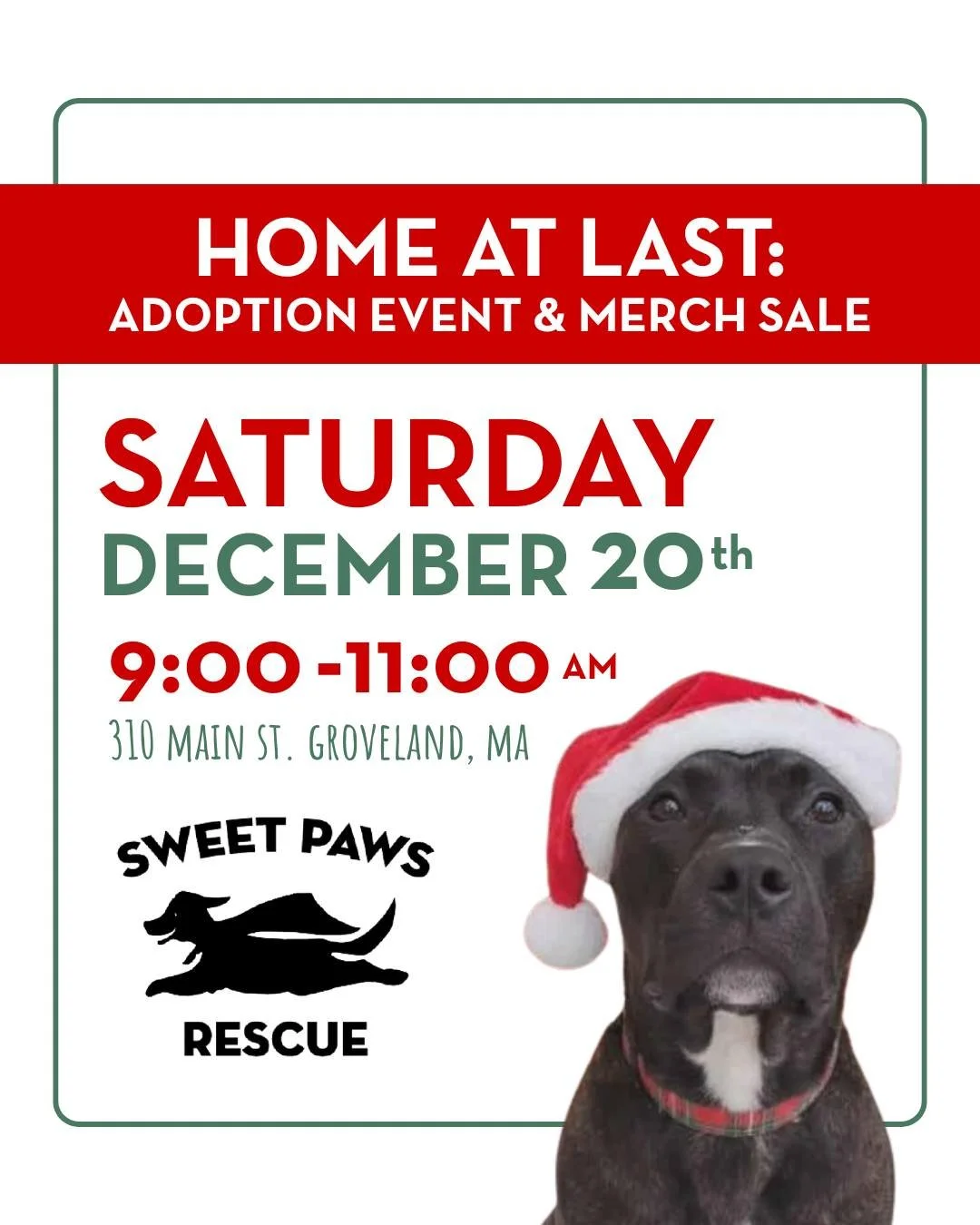 This holiday season, give some of our longest residents the greatest gift of all &mdash; a forever home! 🎁

These wonderful dogs have been patiently waiting in our care for several months. All dogs are 6 months and older, and they're ready to bring 