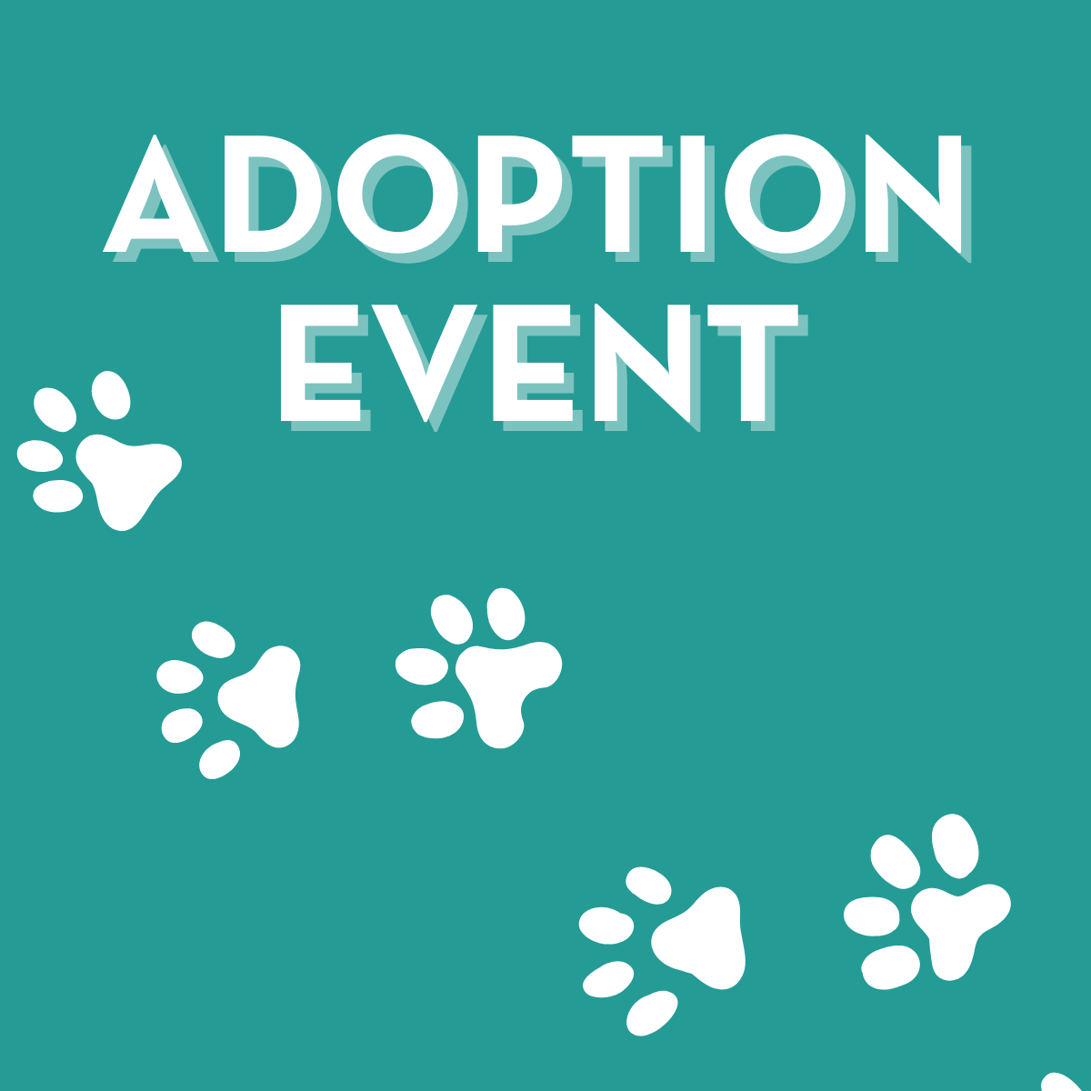Adoption Event @ Gentile Brewing Beverly