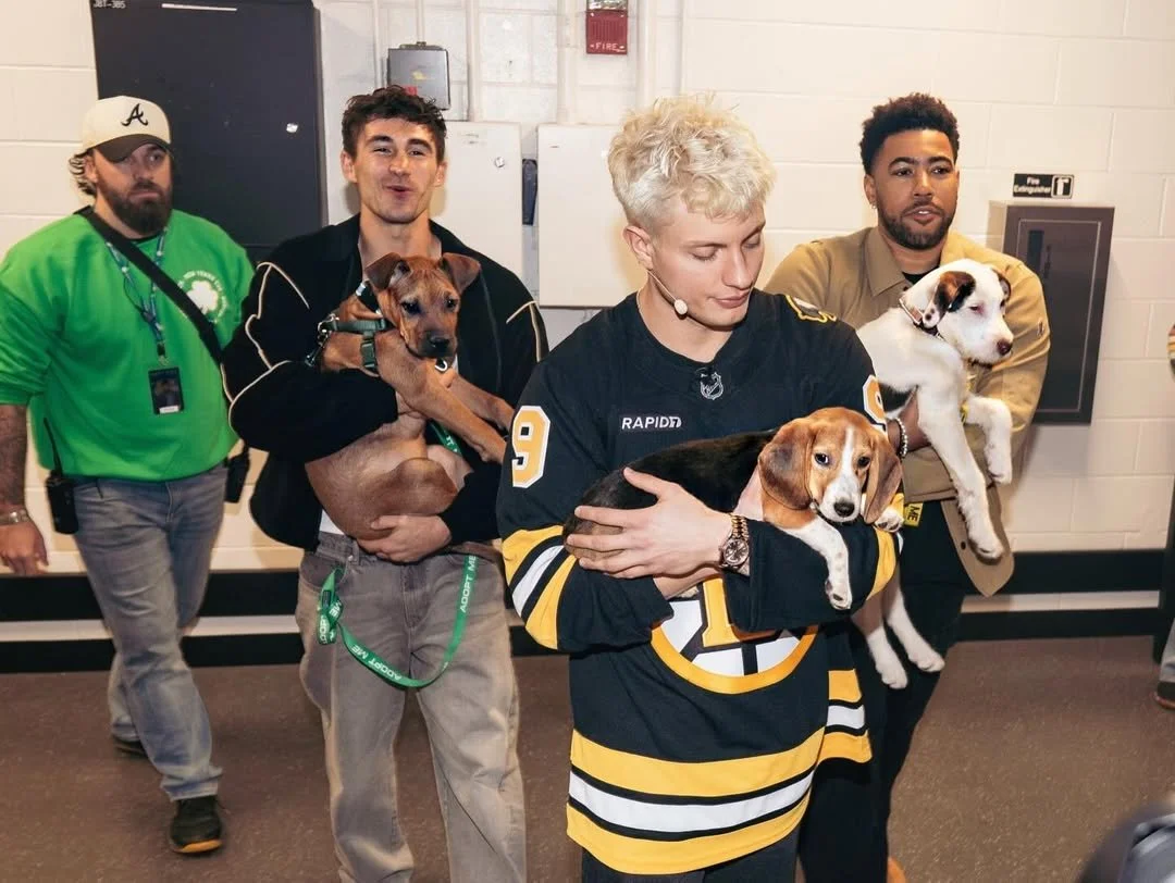 𝗦𝘄𝗲𝗲𝘁 𝗣𝗮𝘄𝘀 𝗥𝗲𝘀𝗰𝘂𝗲 𝗸𝗶𝗰𝗸𝗲𝗱 𝗼𝗳𝗳 𝟮𝟬𝟮𝟲 𝗶𝗻 𝗮 𝗽𝗿𝗲𝘁𝘁𝘆 𝘀𝗽𝗲𝗰𝘁𝗮𝗰𝘂𝗹𝗮𝗿 𝘄𝗮𝘆! 🎉

We were honored to bring adoptable puppies to comedian Matt Rife New Year&rsquo;s Eve show at TD Garden, where they joined him and h