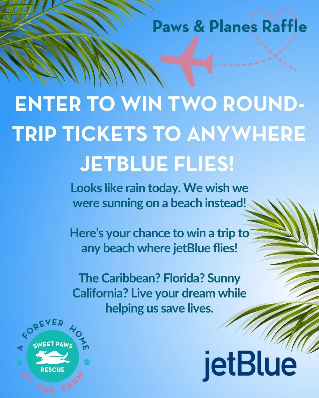 The weather looks like it's going to take a turn later today, Sweet Paws Rescue community. Here's your chance to daydream a little while we wait for spring to noticed that it's kicked in. Thanks to a generous supporter, we're raffling off two round-t