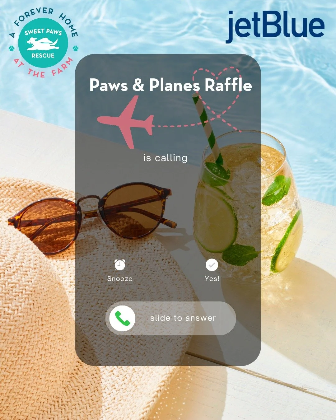 Only a few days left to get your tickets for the Sweet Paws Rescue Paws &amp; Planes Raffle! 

You can buy tickets on our website or by heading to link in bio: $60 for one, or two for $100 ($120 value).

Thanks to a generous supporter, you can win tw