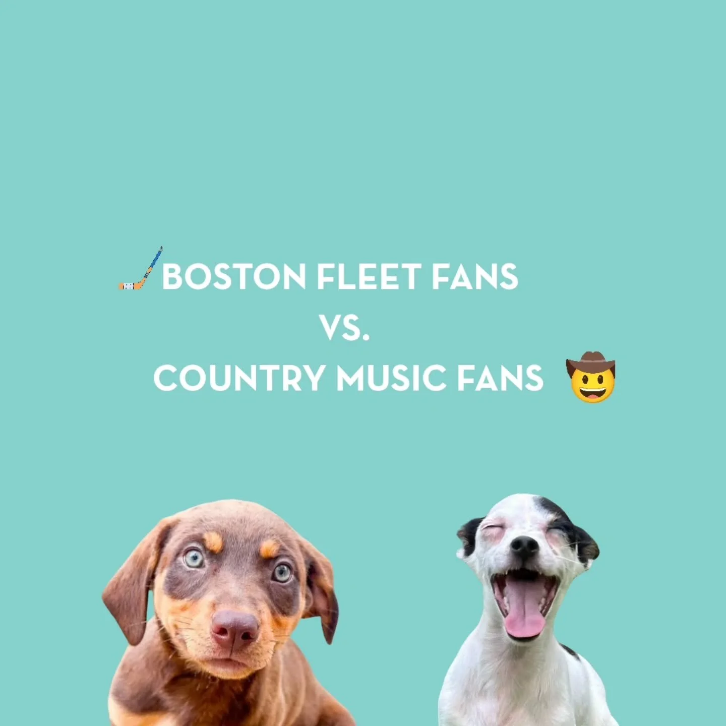 We have two adorable litters 
looking for fans + adopters!

Now it is time to pick a team!

Drop a hockey stick if you are -Team Fleet
Drop a cowboy hat if you are - Team Country

Apply now if you want to adopt!
These adorable athletes and singers 
w