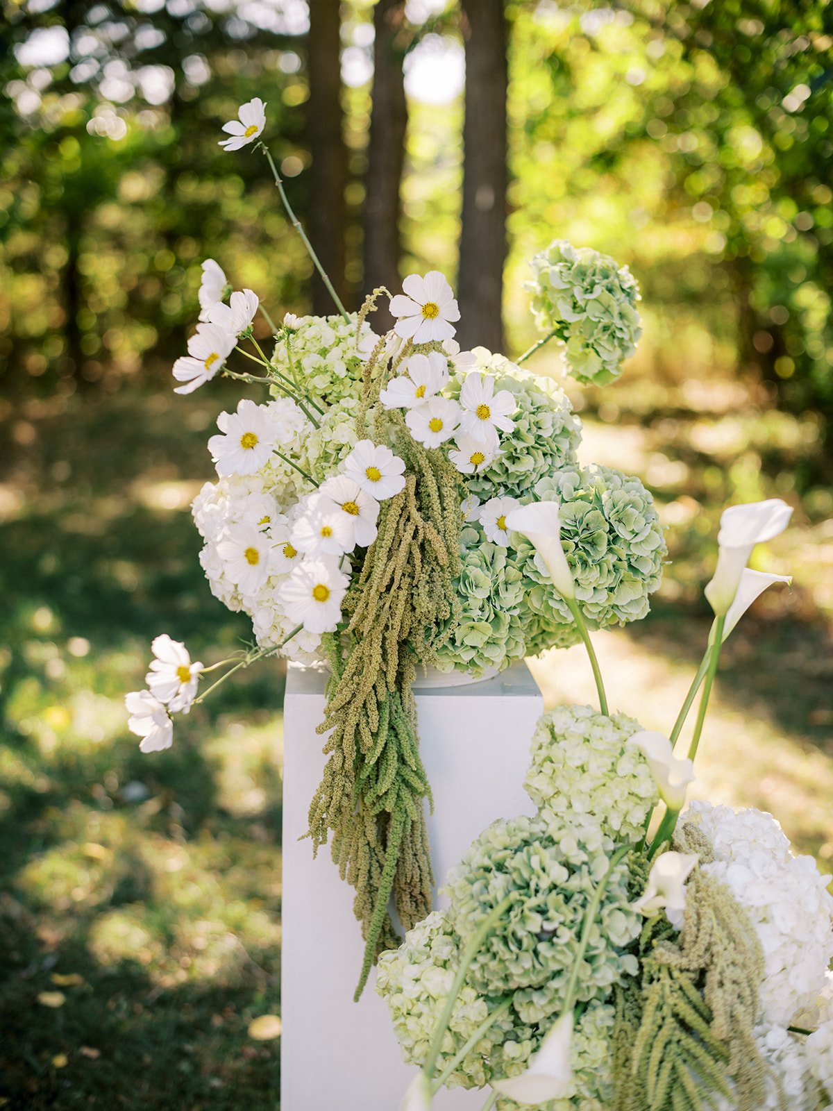 JennyJudeWed-0275.jpg