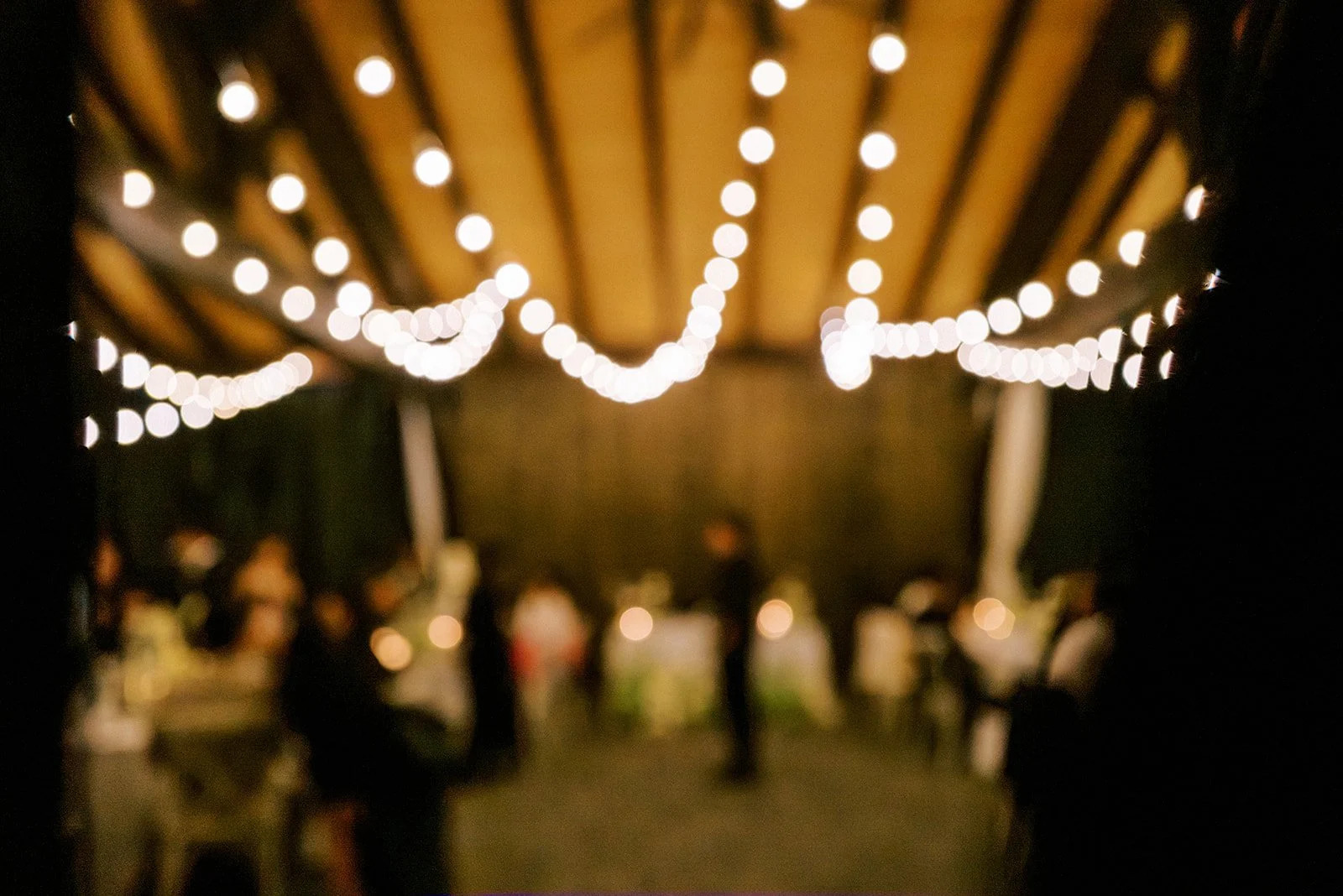 JennyJudeWed-0962.jpg