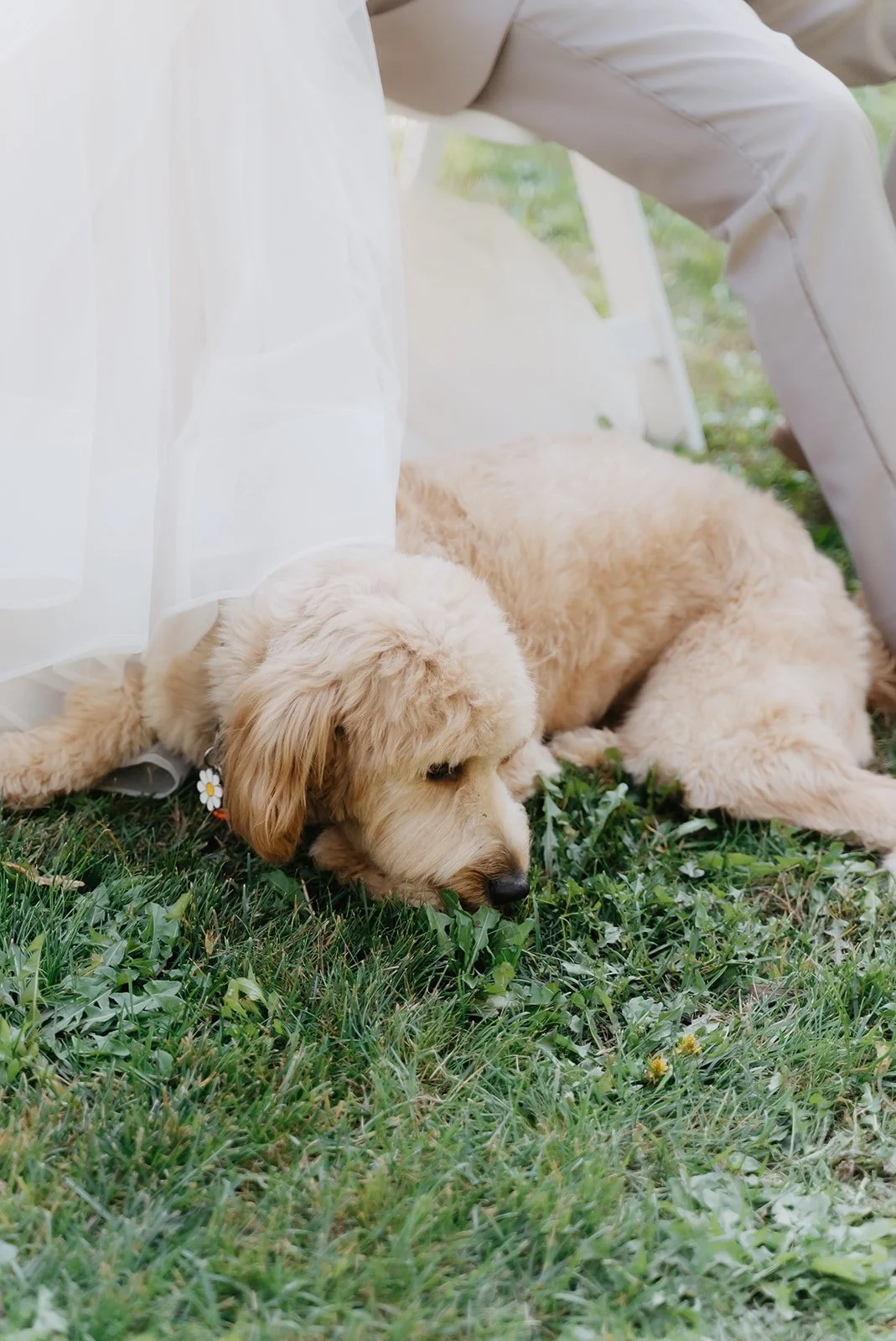 BomkeeWeddings-C-014.jpg