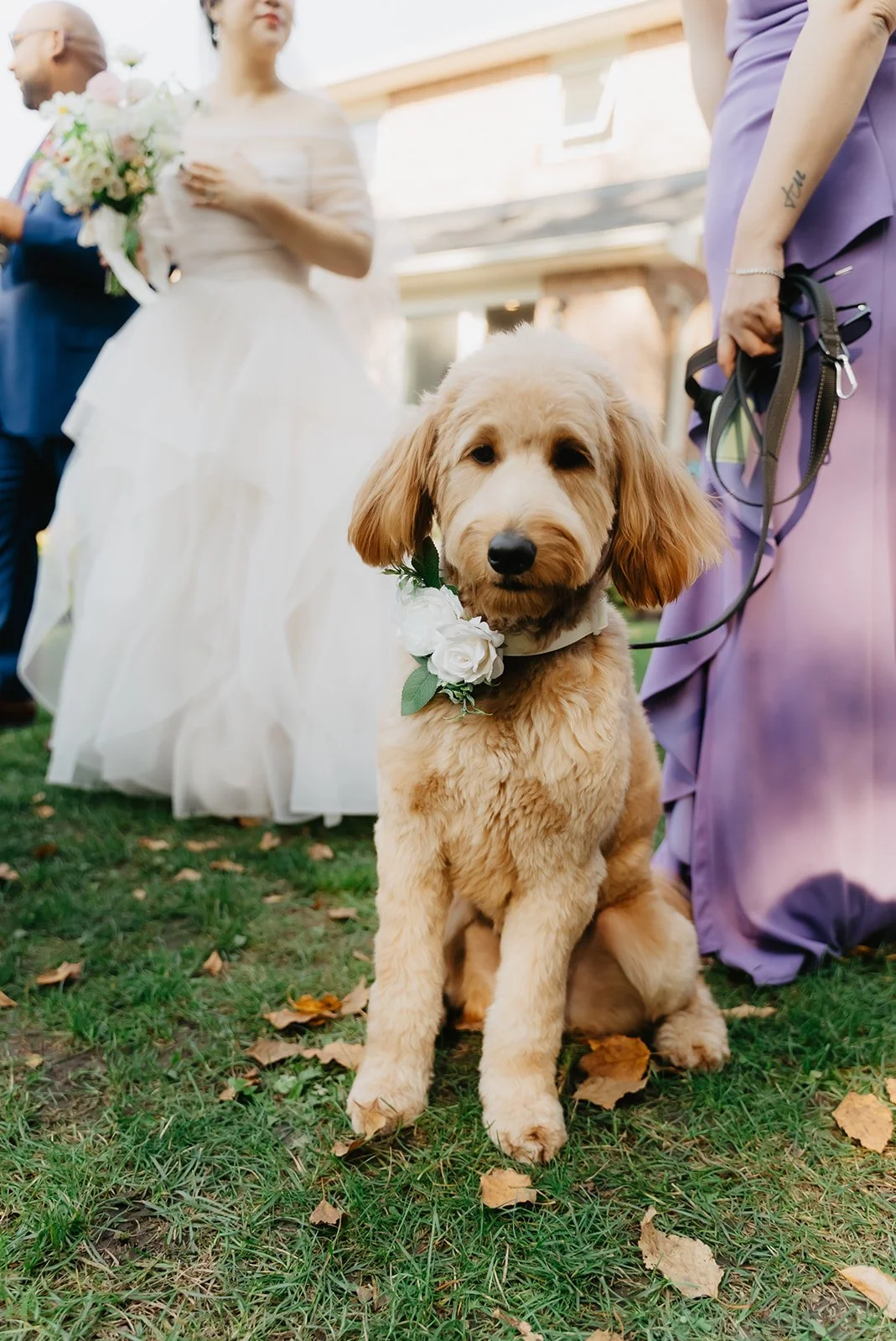 BomkeeWeddings-D-058.jpg