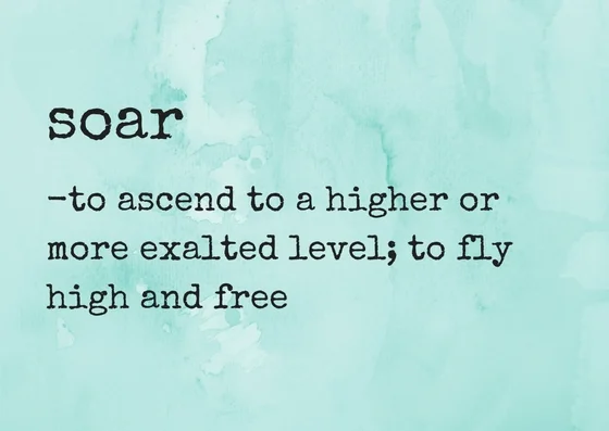 soar.jpg