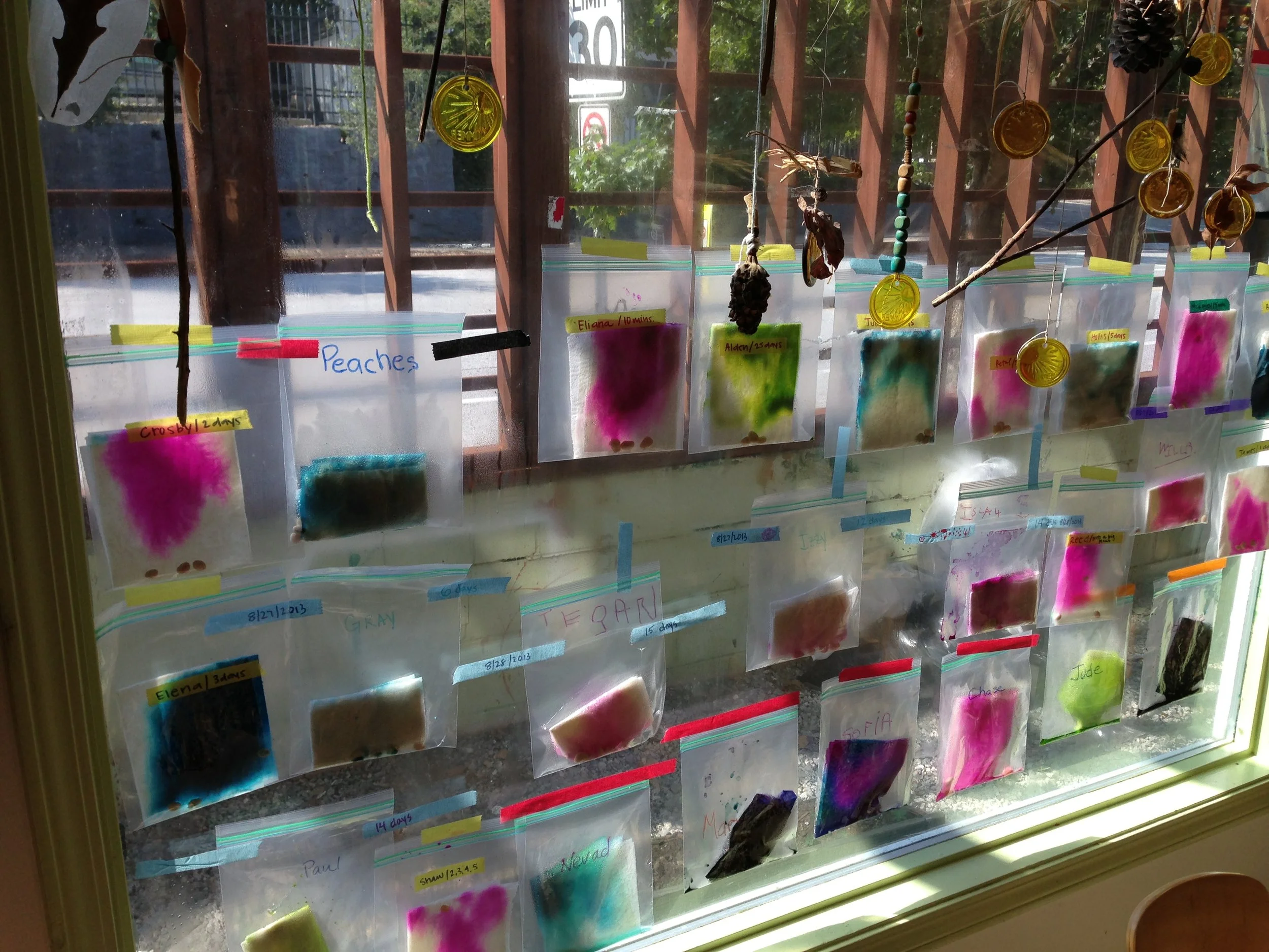 Preschool art in the window.JPG