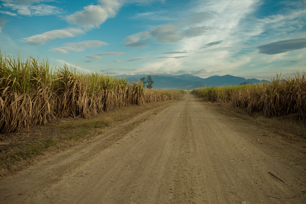 Blood Sugar: The life in the Cambodian sugar cane plantations