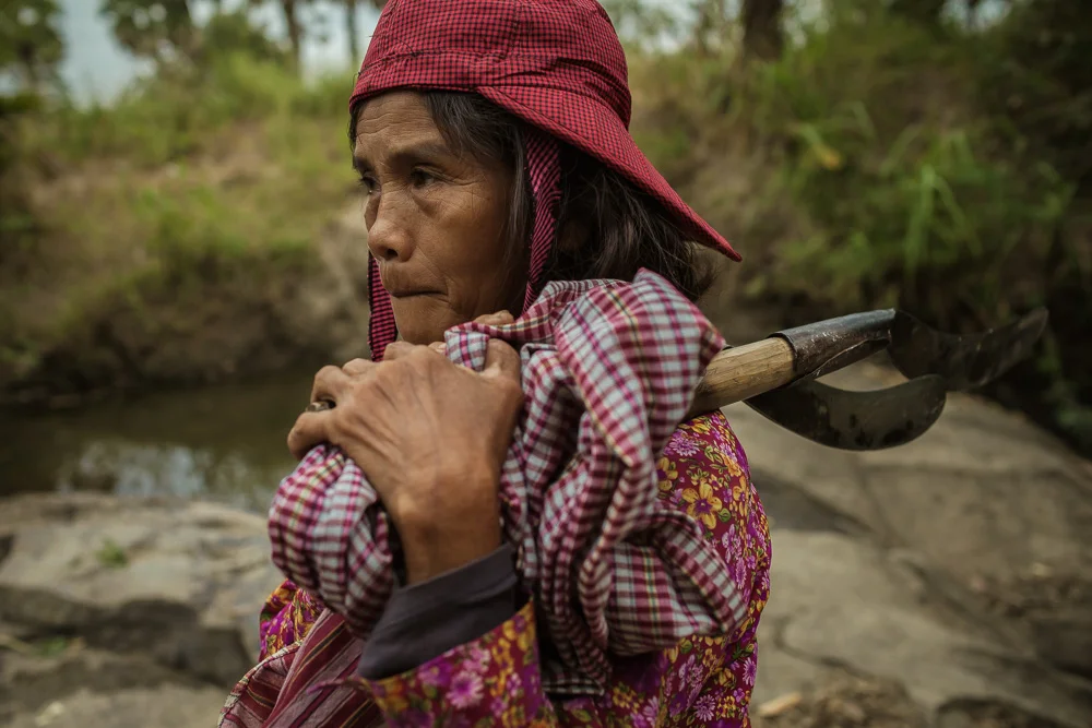 Blood Sugar: The life in the Cambodian sugar cane plantations