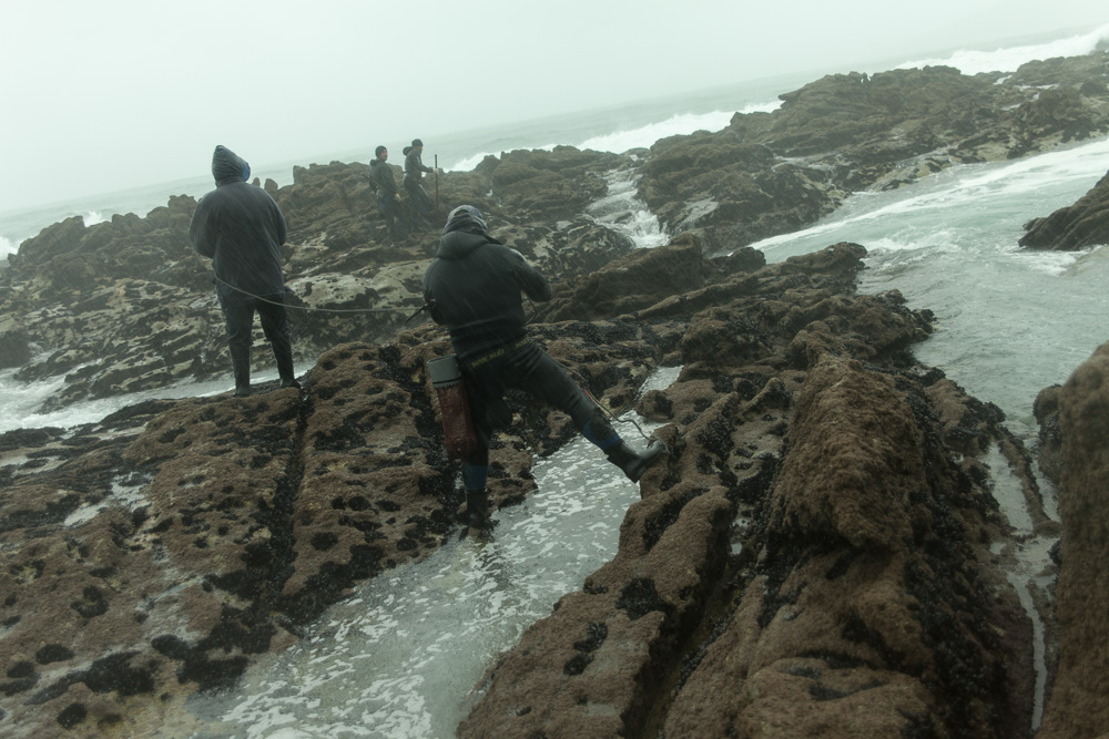 December 13, 2011 - Laxe (La Coruña). Percebeiros secure their companions with a rope. It's the second day of harvesting, but not even the gale force eight and heavy rains can stop them, Christmas' time is too important. © Thomas Cristofoletti 2011
