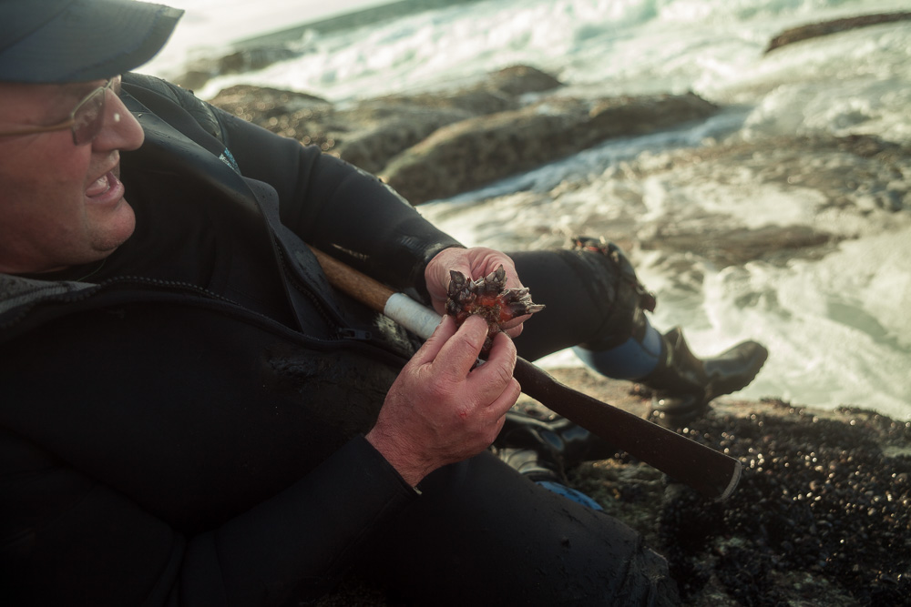 December 19, 2011 - Laxe (La Coruña). Julio cleans a perfect sample of percebe. © Thomas Cristofoletti 2011
