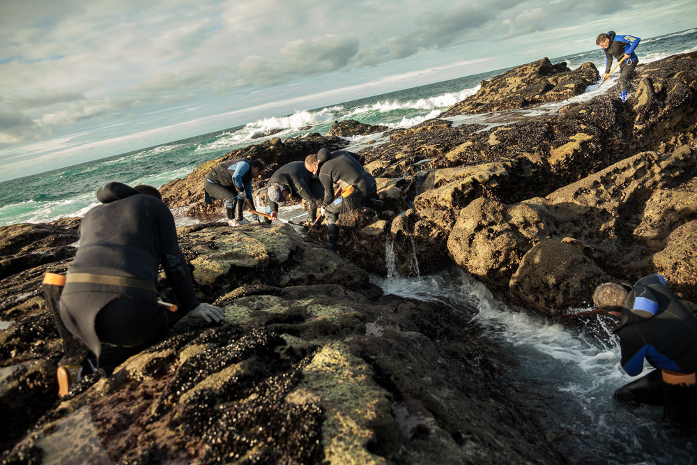 December 19, 2011 - Laxe (La Coruña). Percebeiros try to harvest together to prevent any accident as even when the weather is good, the sea is extremely dangerous in this part of the coast. © Thomas Cristofoletti 2011