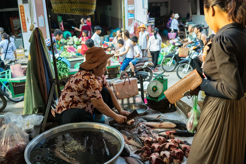 WWF’s conservation work in the greater Mekong