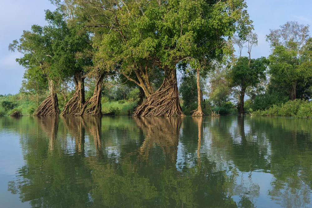 WWF’s conservation work in the greater Mekong