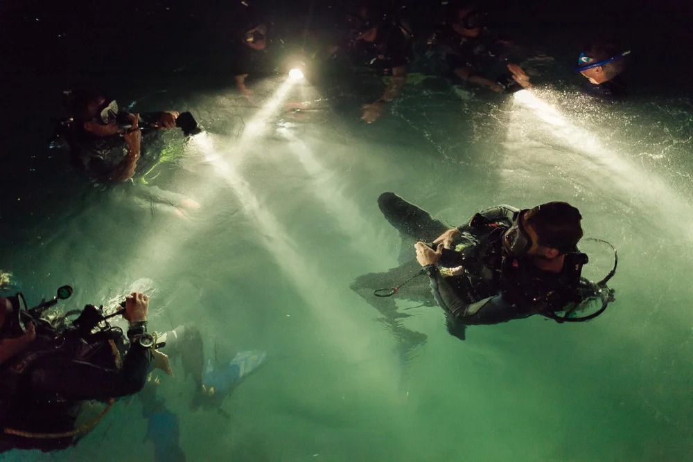 Demining in the Depths