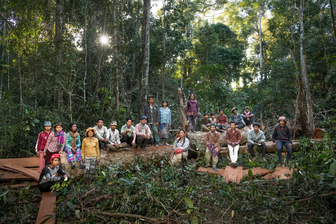 The entire group of forest activists pose for a portrait on a tree cut by illegal loggers they caught early that morning. © Antoine Raab / Ruom