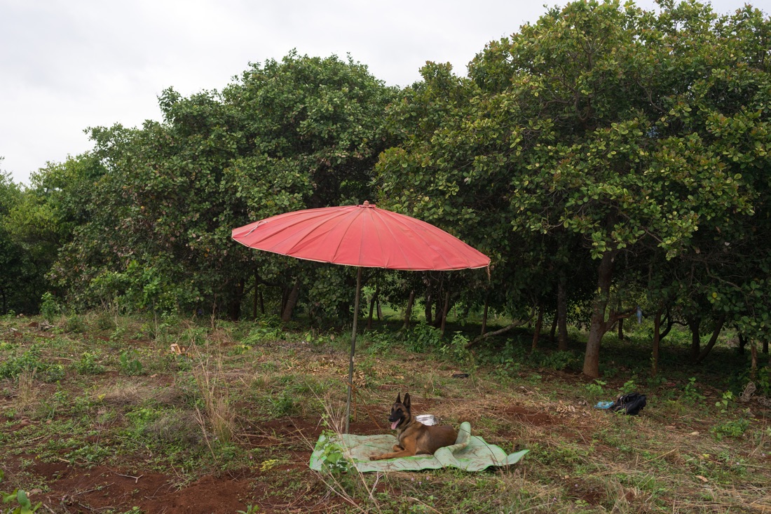 NPA's female UXO clearing team
