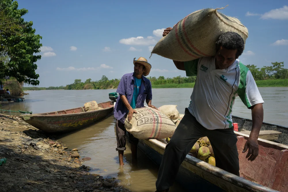 COLOMBIA - From coca to cacao